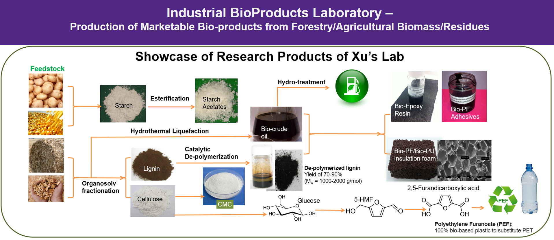 IBL-Lab-Research-Overview.png