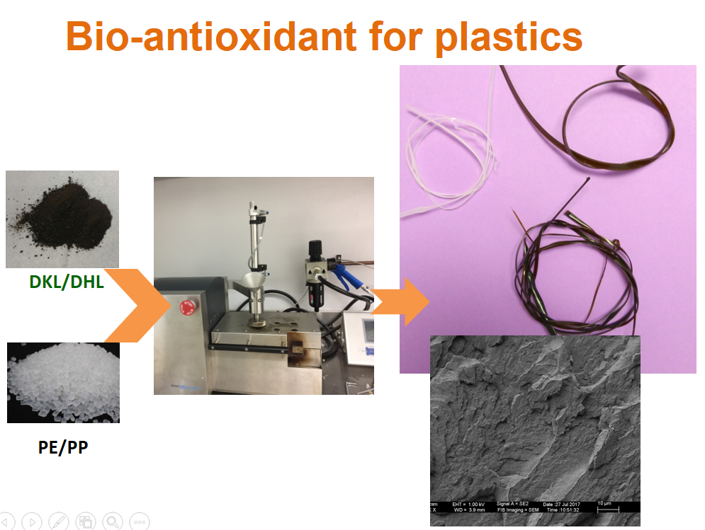 Showcase of Research Products Industrial Bioproduct Lab Western