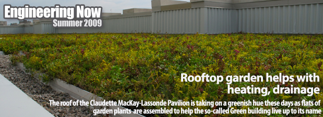 Claudette MacKay-Lassonde Pavilion Green Roof
