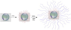 Research Highlight image 4