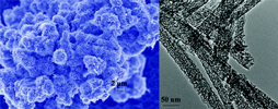 Research Highlight image 5