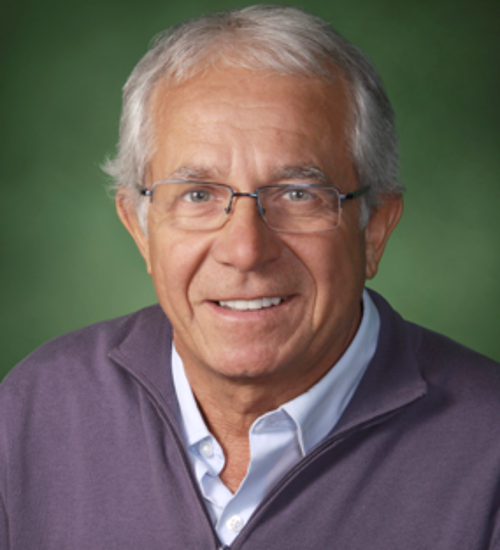 Picture of Professor Franco Berruti