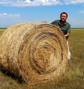 Picture of Kang Kang, Postdoctoral Scholar