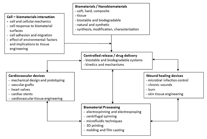 A circluar relationship exists between between biomaterials & biomaterial interactions - tIf you would like this chart in alternative format, please contact our webmaster