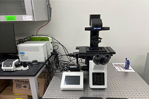 IXplore Olympus Inverted Microscope