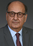 Hassan  Peerhossaini