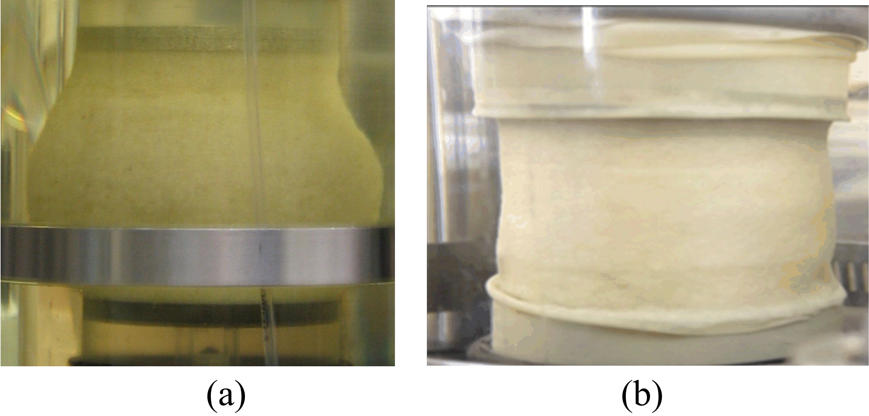 Effect of lubricated and enlarged platens on deformation patterns of a triaxial specimen