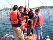 Graduate students and technical staff conducting research at Shebandowan tailings storage facility, northern Ontario, 2007