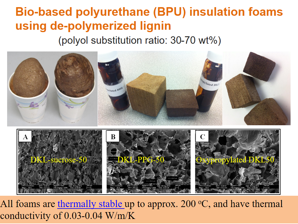 Showcase of Research Products Industrial Bioproduct Lab Western