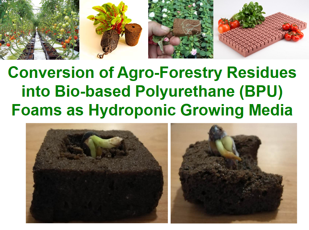 Showcase of Research Products Industrial Bioproduct Lab Western