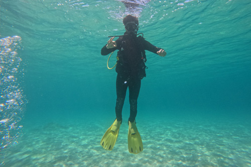 team-dive-ins