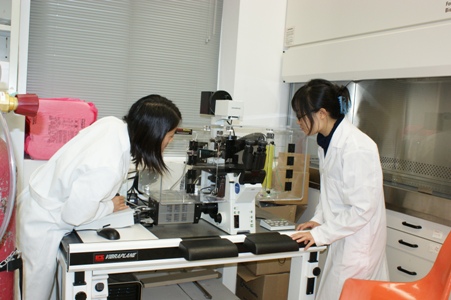 student in X. Sun lab