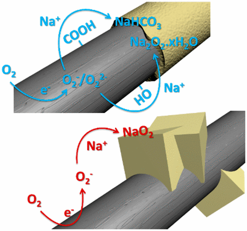 Hossein-JPCL.gif