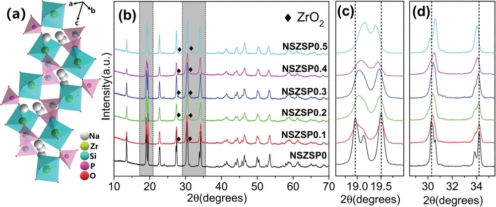 Fei-2021-AFM.jpg