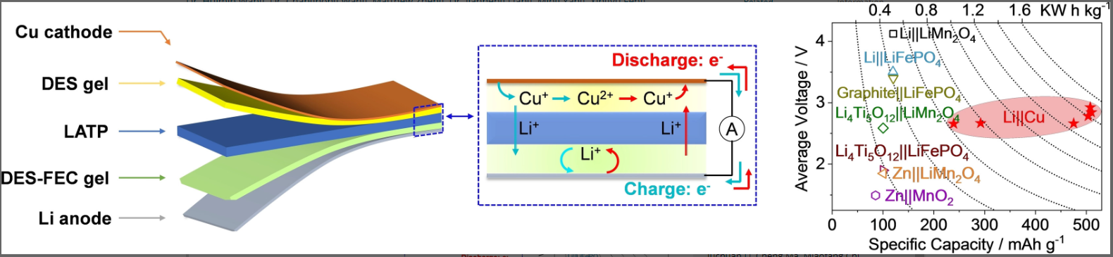 Wei-2022-chemical-review.jpg