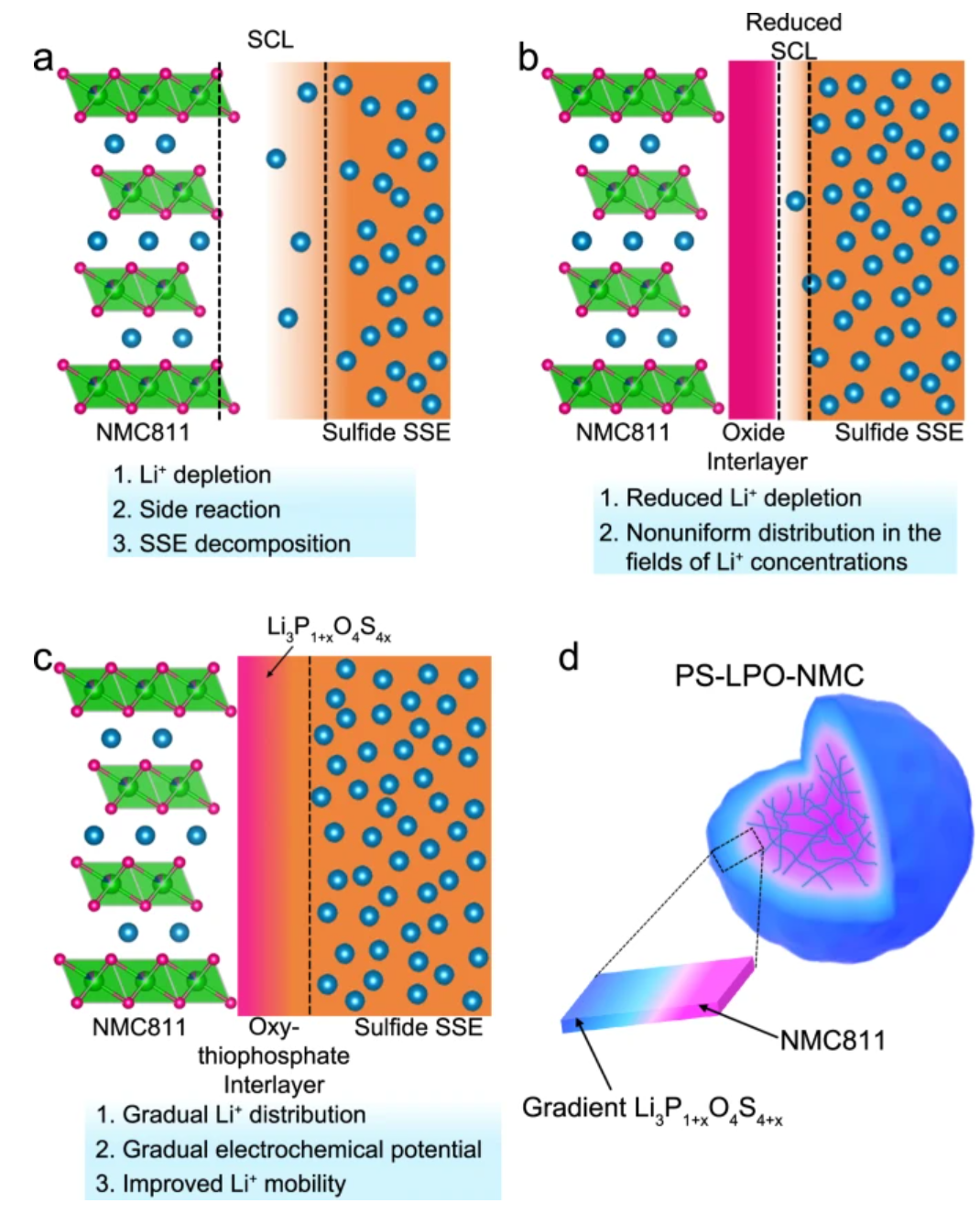 CW-Science-Advances-2022.jpg