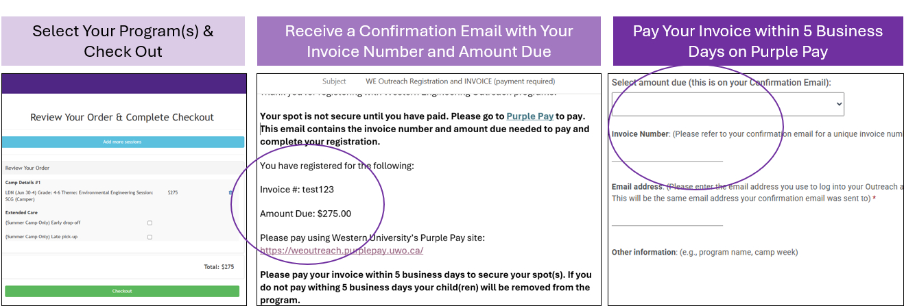 Purple Pay x Portal draft3