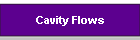 Cavity Flows