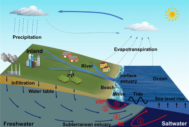 CoastDiagram.png