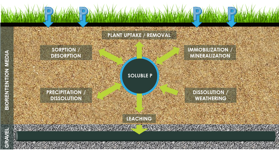 SoilDiagram.png